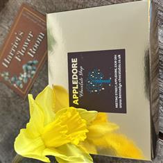 Appledore Chocolate Shop Box of 6 Assorted Chocolates 