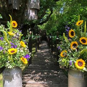 fwthumbsunflower.jpg